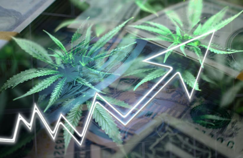 Cash, marijuana leaves, and rising graph arrow