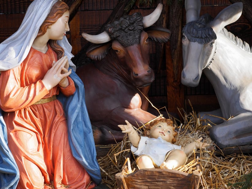 Christmas and manger scene with life size statues of Virgin Mary, Jesus Child, steer, donkey in a plaza.