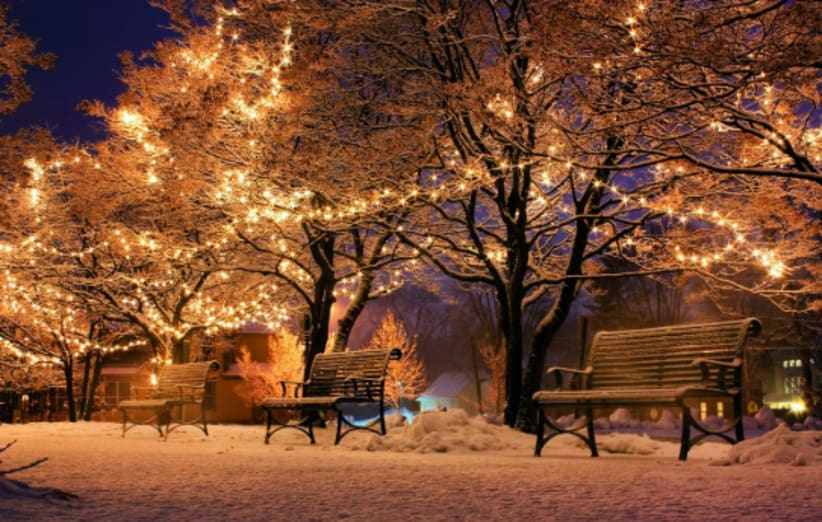 christmas lights holiday decorations.PNG