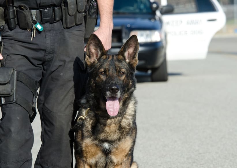 A K9 police officer with his dog.