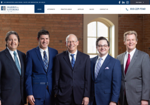 Law Offices of Harris & Literski website thumbnail